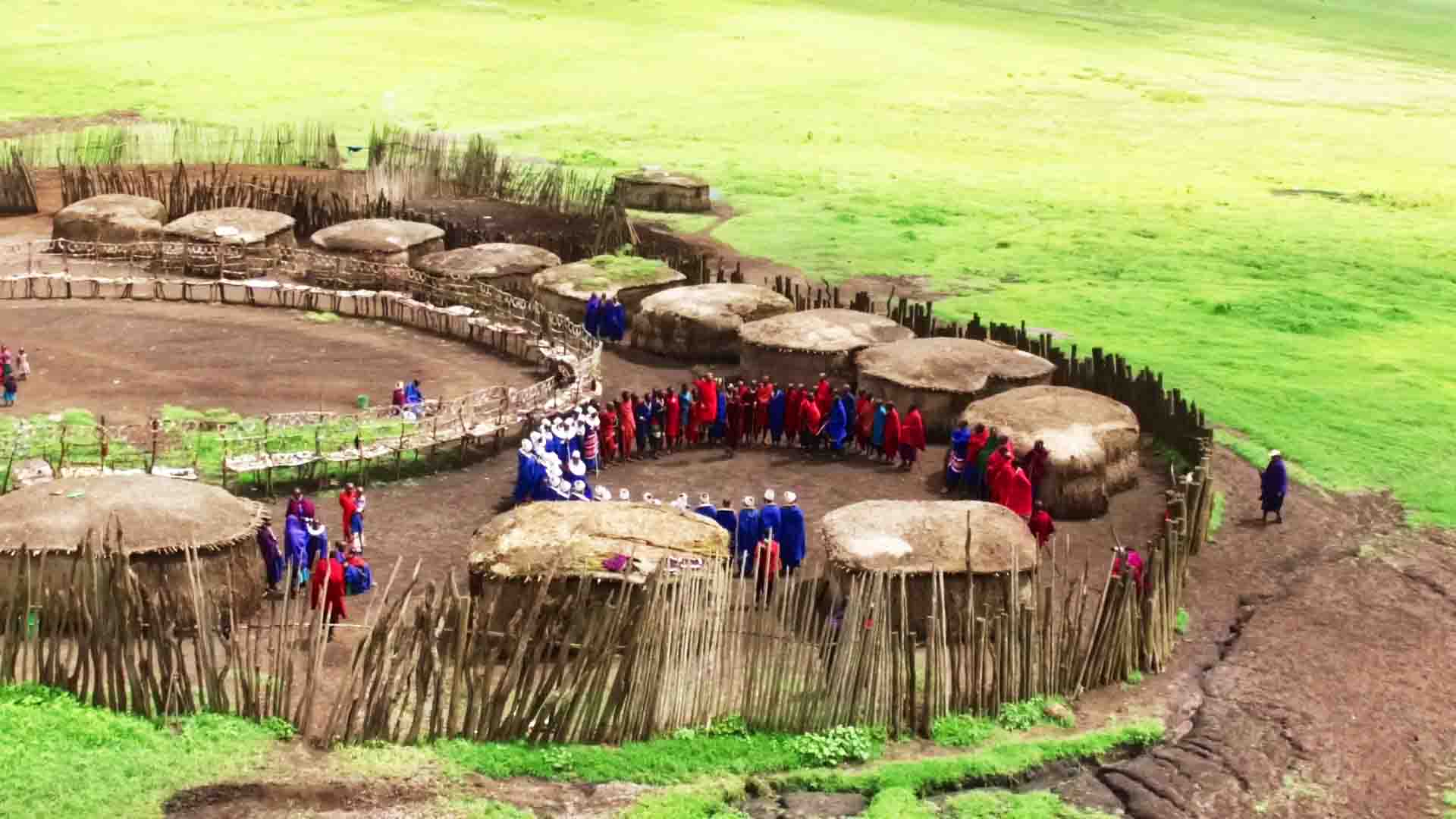14 day ultimate tanzania wildlife safari and cultural experience tour 